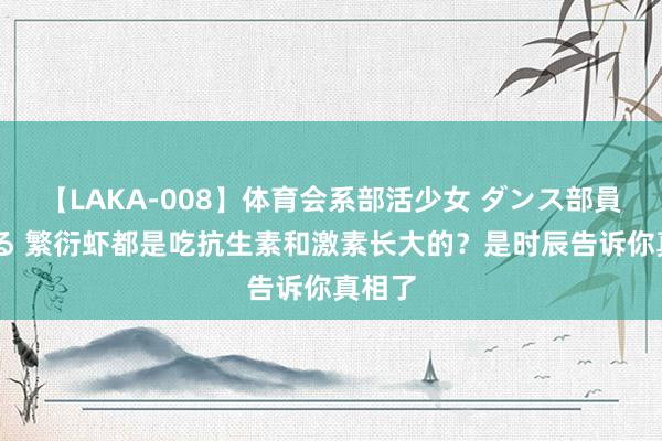 【LAKA-008】体育会系部活少女 ダンス部員 ひかる 繁衍虾都是吃抗生素和激素长大的？是时辰告诉你真相了