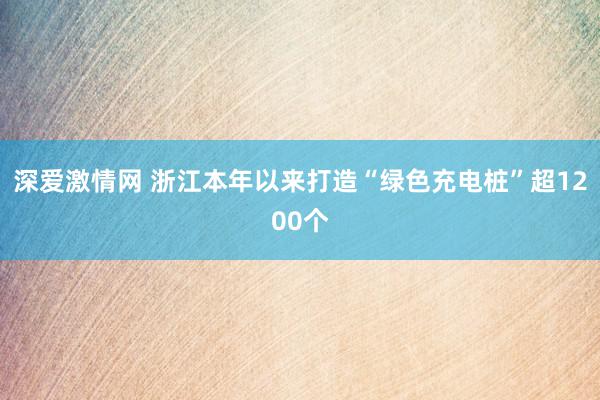 深爱激情网 浙江本年以来打造“绿色充电桩”超1200个
