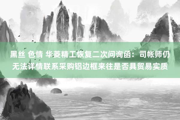 黑丝 色情 华菱精工恢复二次问询函：司帐师仍无法详情联系采购铝边框来往是否具贸易实质